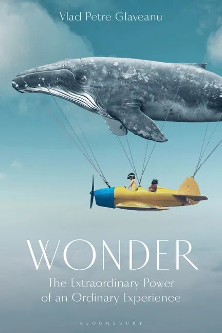 Wonder: The Extraordinary Power of an Ordinary Experience - Paperback