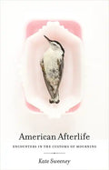 American Afterlife: Encounters in the Customs of Mourning - Hardcover
