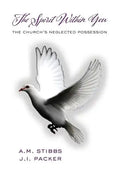 The Spirit Within You: The Church's Neglected Possession - Paperback