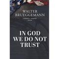 In God We Do Not Trust: The Ten Commandments of MAGA and other essays - Paperback