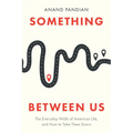 Something Between Us: The Everyday Walls of American Life, and How to Take Them Down - Hardcover