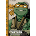 Teenage Mutant Ninja Turtles: The IDW Collection Volume 7 - Paperback