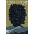 A Boy Like Me - Paperback