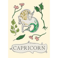 Capricorn - Hardcover