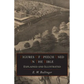 Figures Of Speech Used In the Bible Explained and Illustrated - Hardcover