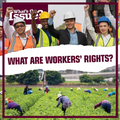 What Are Workers' Rights? - Paperback