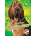 Bloodhounds - Library Binding