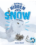 Animals Hidden in the Snow - Hardcover
