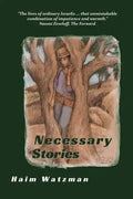 Necessary Stories - Paperback