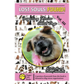 Lost Souls: FOUND! Inspiring Stories About Dogs Vol. III - Paperback