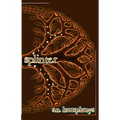 Splinter - Paperback