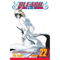 Bleach, Vol. 22 - Paperback