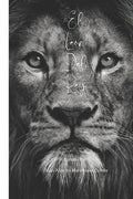 El León Del Rey - Paperback