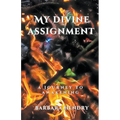 My Divine Assignment: A Journey to Awakening - Paperback