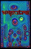 Bhramaputra: Son of a delusion - Paperback