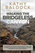 Walking the Bridgeless Canyon: Repairing the Breach between the Church and the LGBTQ Community - Paperback