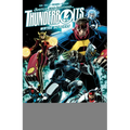 Thunderbolts: Winter Soldiers - Paperback