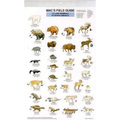 Mac's Field Guides: North American Land Mammals - Paperback