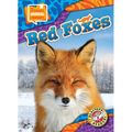 Red Foxes - Library Binding