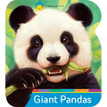 Smithsonian Kids Giant Pandas - Board Book