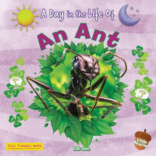 An Ant - Library Binding