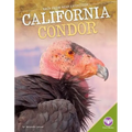 California Condor - Library Binding