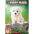 Angel - Hardcover