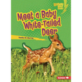 Meet a Baby White-Tailed Deer - Paperback
