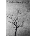 Celebration Of Life: Funeral Sign In Book For Loved Ones To Sign During A Funeral - Paperback