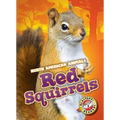 Red Squirrels - Library Binding