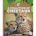 A Coalition of Cheetahs - Library Binding