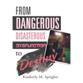 From Dangerous, Disastrous Dysfunction to Destiny - Hardcover