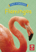 Flamingos - Paperback