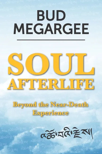 Soul Afterlife: Beyond the Near-Death Experience - Paperback
