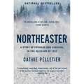 Northeaster: A Story of Courage and Survival in the Blizzard of 1952 - Paperback