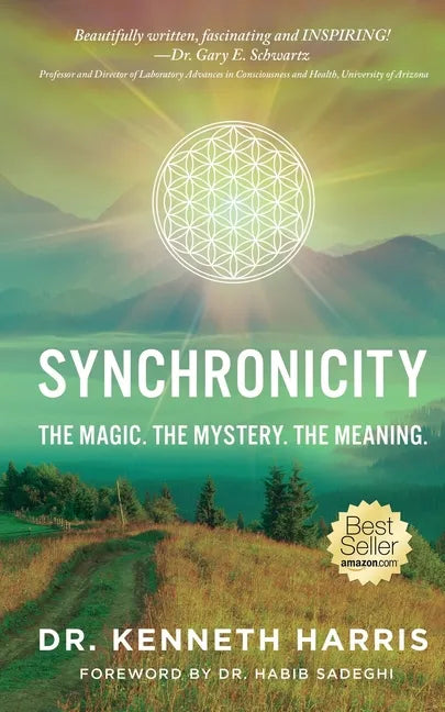 Synchronicity: The Magic. The Mystery. The Meaning. - Paperback