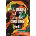 Psycho-Emotional Pain and the Eight Extraordinary Vessels: Treating the Spirit - Paperback