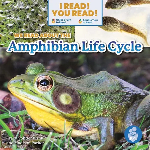 We Read about the Amphibian Life Cycle - Library Binding