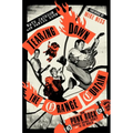 Tearing Down the Orange Curtain: How Punk Rock Brought Orange County to the World - Hardcover
