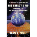 The Energy Grid: Harmonic 695: The Pulse of the Universe: The Investigation Into the World Energy Grid - Paperback