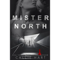 Mr. North - Paperback