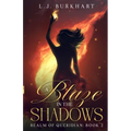 A Blaze in the Shadows: Clean Version - Paperback