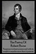 The Poetry Of Robert Burns - Paperback