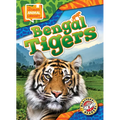 Bengal Tigers - Library Binding