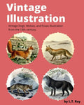 Vintage Illustration: Vintage Dogs, Wolves, and Foxes illustration from the 19th century. - Paperback