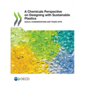 A Chemicals Perspective on Designing with Sustainable Plastics - Paperback