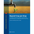 Beyond Crop per Drop: Assessing Agricultural Water Productivity and Efficiency in a Maturing Water Economy - Paperback