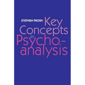 Key Concepts in Psychoanalysis - Paperback