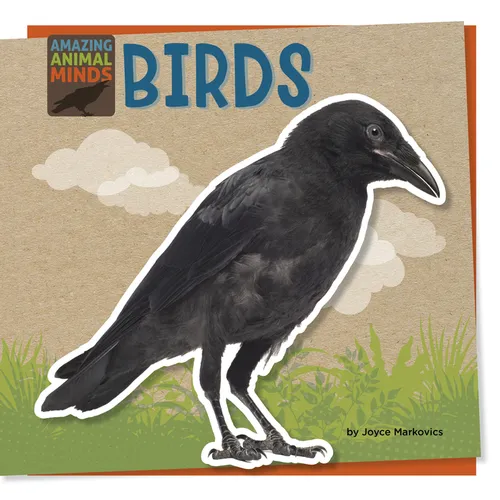 Birds - Paperback