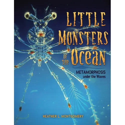 Little Monsters of the Ocean: Metamorphosis Under the Waves - Paperback